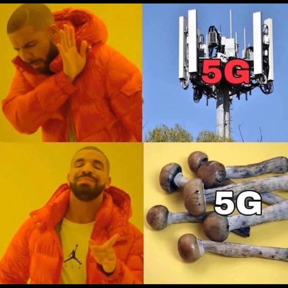 Meet your Posher, Estella - Picture 6 of 15